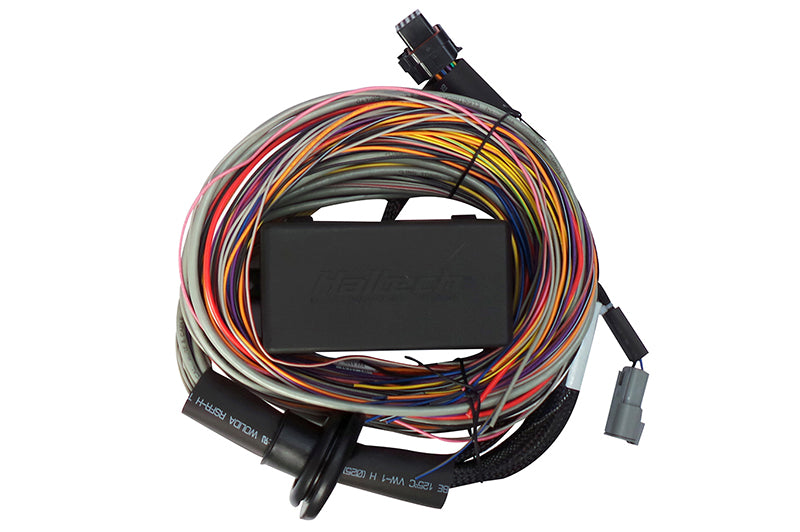 Elite 550 / 750 Premium Universal Wire-in Harness 2.5m (8) Length: 2.5m (8)