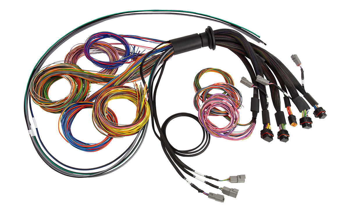 Nexus R5 Universal Wire-In harness - 2.5M (8) Length: 2.5M