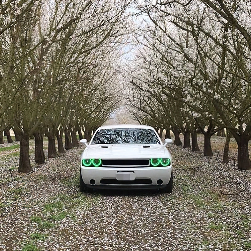 Oracle Dodge Challenger 08-14 Halo Kit (NonProjectorHL) - ColorSHIFT w/ 2.0 Controller