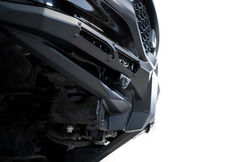 Photo - Close Up