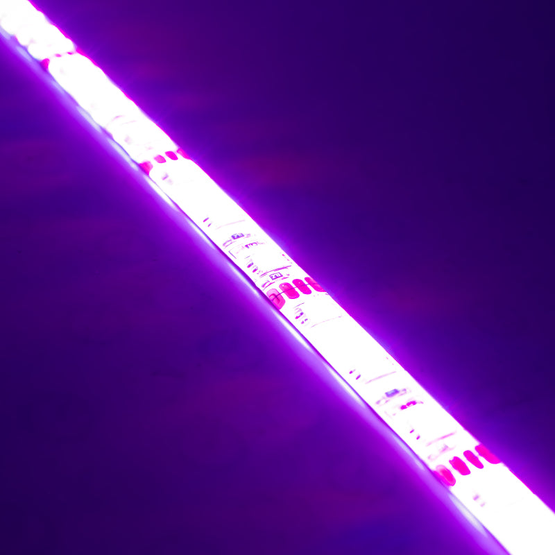 Oracle Engine Bay LED Kit 48in - UV/Purple
