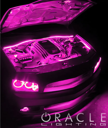 Oracle Engine Bay LED Kit 48in - Pink