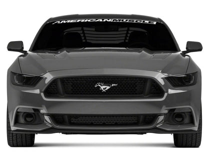 Raxiom 15-17 Ford Mustang Axial Series Switchback Turn Signal Conversion Kit