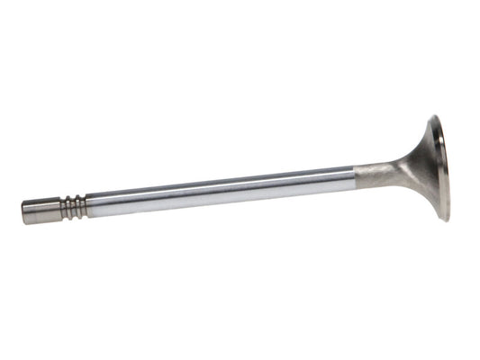 Manley Ford GT350 Voodoo 5.2L Race Master Series Exhaust Valve Set - 1.280in Dia