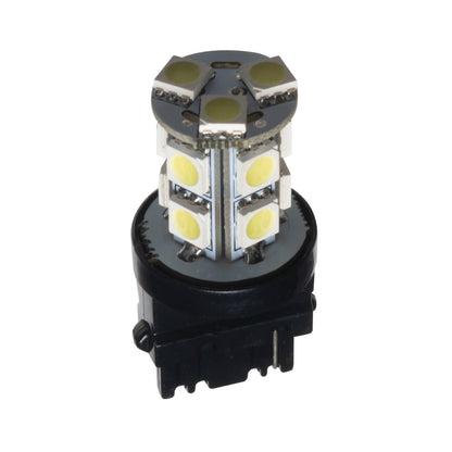 Oracle 3156 13 LED Bulb (Single) - Cool White