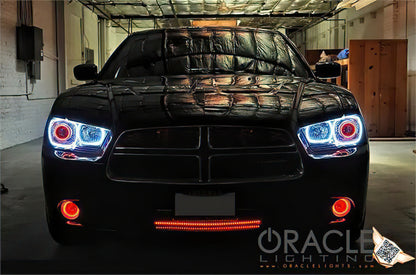 Oracle Dodge Charger 11-12 LED Fog Halo Kit - White
