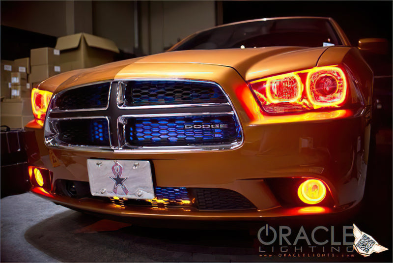 Oracle Dodge Charger 11-12 LED Fog Halo Kit - White