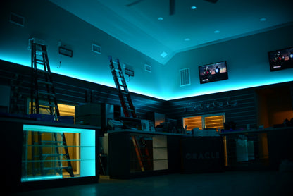 Oracle Exterior Flex LED 12in Strip - RGB ColorSHIFT