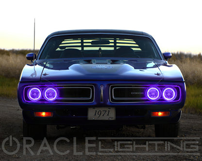 Oracle Pre-Installed Lights 5.75 IN. Sealed Beam - UV/Purple Halo