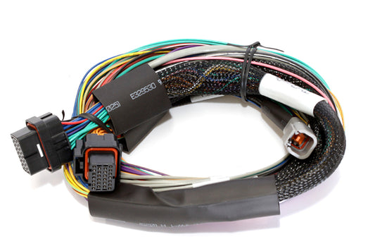 Elite 1500, 2500 - 2.5m (8 ft) Basic Uni Wire-in Harness Only Length: 2.5m (8)