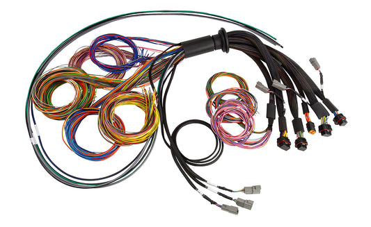 Nexus R5 Universal Wire-In harness - 2.5M (8) Length: 2.5M