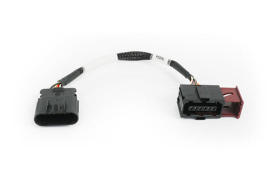 Nexus Rebel LS - VE Commodore pedal adaptor harness