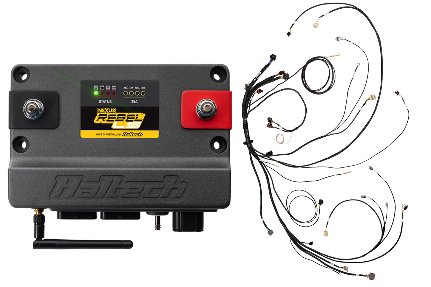 Rebel LS Kit - Suits Gen IV - 6-pin DBW, EV6 Injectors , Manual Transmission