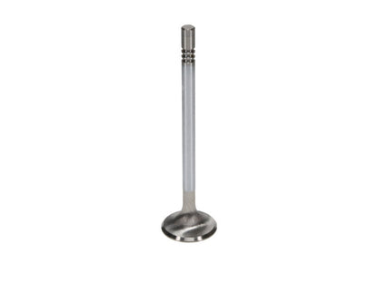 Manley Ford Modular Coyote 5.0L Gen III Race Master Series Exhaust Valve Set - 1.260in Dia