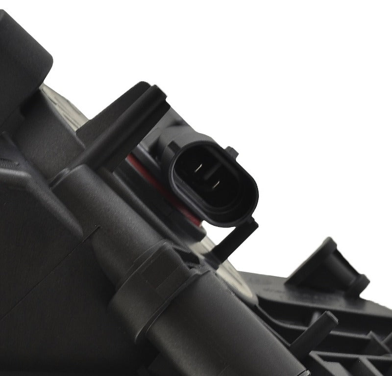 Photo - Close Up