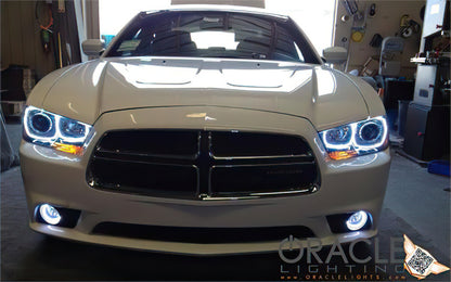 Oracle Dodge Charger 11-12 LED Fog Halo Kit - ColorSHIFT
