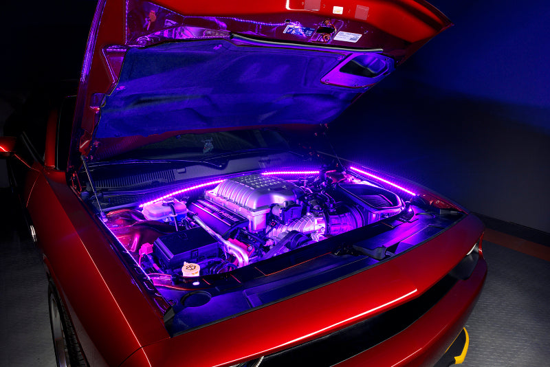 Oracle Engine Bay LED Kit 48in - UV/Purple
