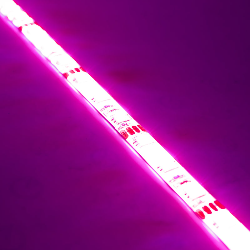 Oracle Engine Bay LED Kit 60in - Pink