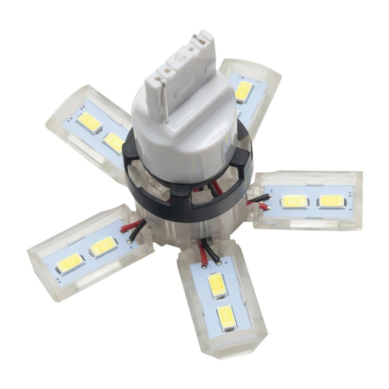 Oracle 7440 24 SMD 3 Chip Spider Bulb (Single) - Cool White