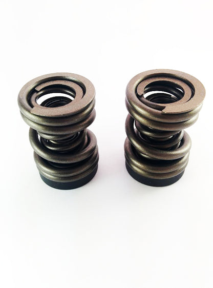 DDP 94-98 Dodge Cummins 5.9L 12V P-Pump 3000 & 4000 RPM Governor Spring Kit
