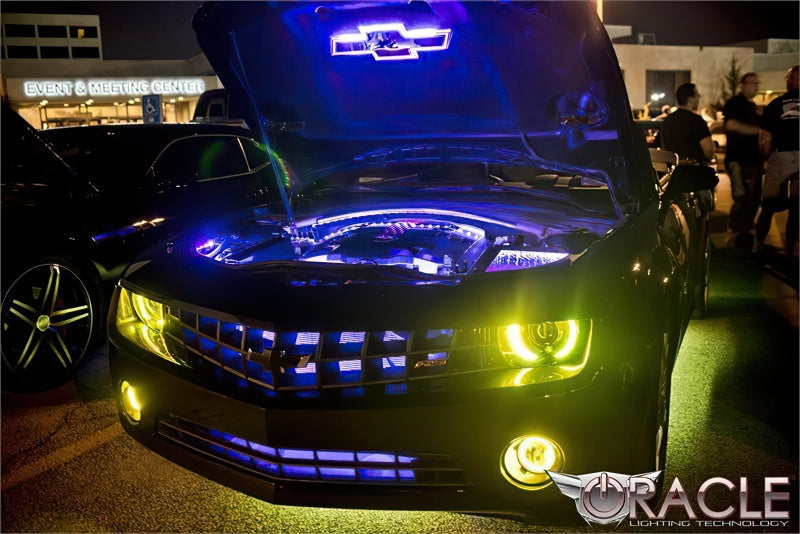 Oracle Engine Bay LED Kit 60in - UV/Purple